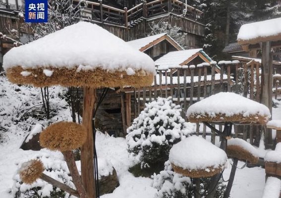 霜降节气下的中国雪乡初雪奇观