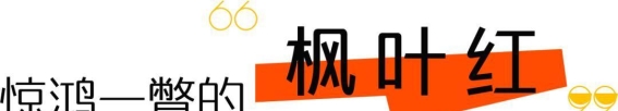 冬日重固镇的色彩交响曲：在寒风中与大自然共舞
