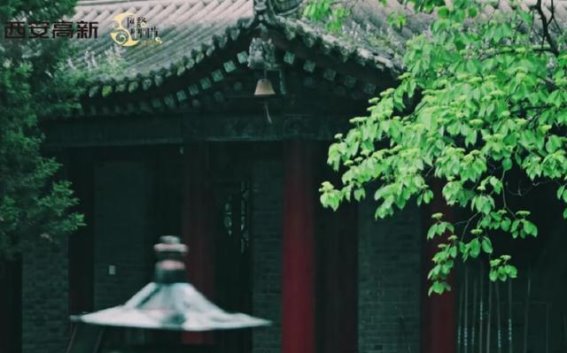 高新之旅：探寻城市中的静谧与美丽
