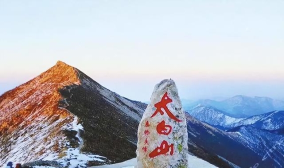 宝鸡文化之旅：凤香酒的传奇与历史的交汇