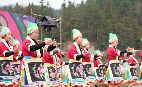 茶岭村西地跳花节：苗族风情的欢庆盛会