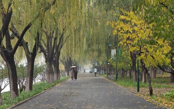 细雨过后，京城美景更清新