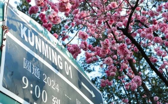 春光中的云南：新霞客旅居记