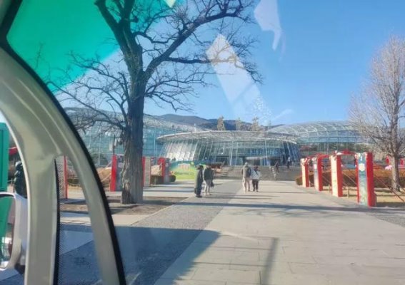 春节游园记：与自然亲密接触的国家植物园