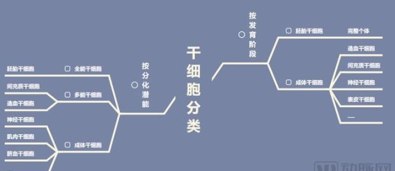 扩大开放试点：鲶鱼效应如何改变中国医疗市场？
