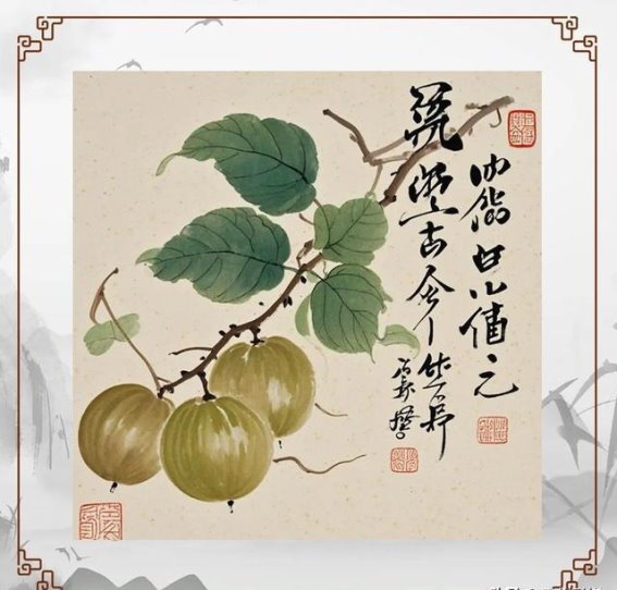 秋季必备的润肺良品——罗汉果