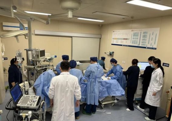 杭州男子因盲目进补险丧命，生附子误食引发生命危机