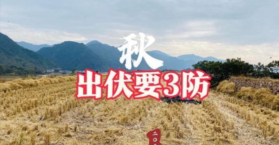 下周出伏，建议大家：3要防、3多吃、3不沾”，为秋冬打好基础