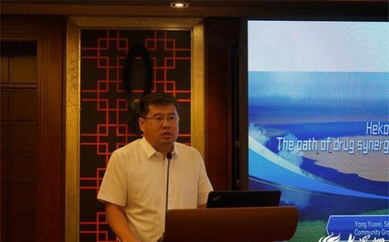 河口区卫生健康局在构建整合型健康服务体系中泰交流会上作交流发言