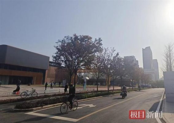武汉的绿色生活：公园与健身的交响曲