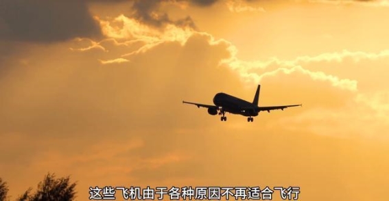 退役飞机的奇妙转身：民宿创新探索