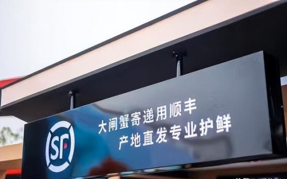 阳澄湖大闸蟹的空中旅程：美味飞入餐桌