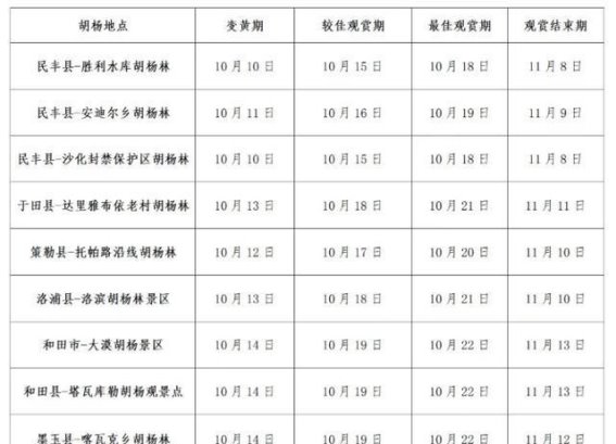 胡杨林的金色盛宴：和田观赏期全攻略